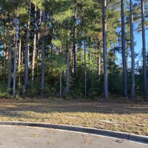 Photo #3 of 114 Finnegan Ct., Myrtle Beach, SC 0.7 acres