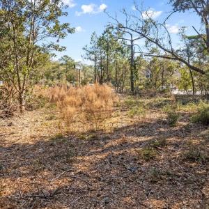 Photo #16 of 2221 Hwy 17 S, Little River, SC 1.4 acres