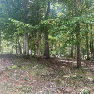 Photo #3 of SOLD property in 103 Chama Drive, Louisburg, NC 0.7 acres