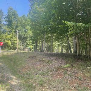 Photo #4 of SOLD property in 103 Chama Drive, Louisburg, NC 0.7 acres