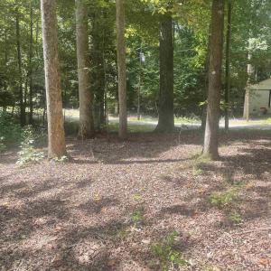 Photo #8 of SOLD property in 103 Chama Drive, Louisburg, NC 0.7 acres