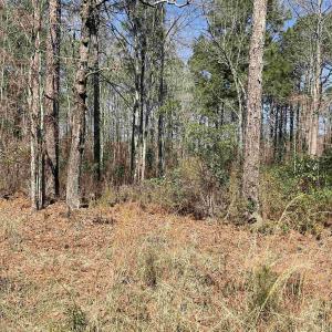 Photo #1 of TBD Florence Ln., Kingstree, SC 1.9 acres