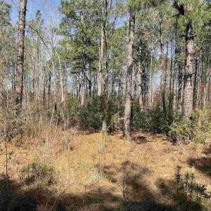 Photo #2 of TBD Florence Ln., Kingstree, SC 1.9 acres