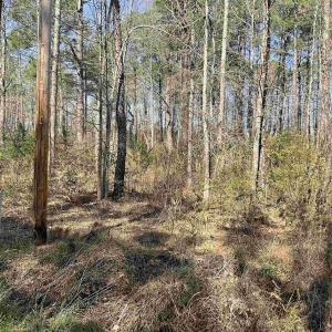 Photo #3 of TBD Florence Ln., Kingstree, SC 1.9 acres