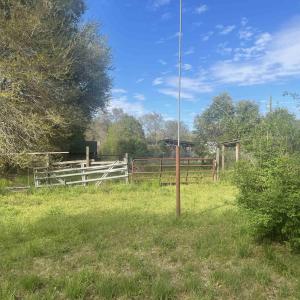 Photo #3 of TBD Harrelson St., Kingstree, SC 0.3 acres