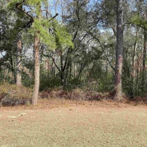 Photo #7 of 634 McCown Dr., Conway, SC 0.7 acres