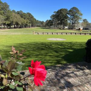 Photo #7 of 221 Robert Conway Ct., Georgetown, SC 0.3 acres