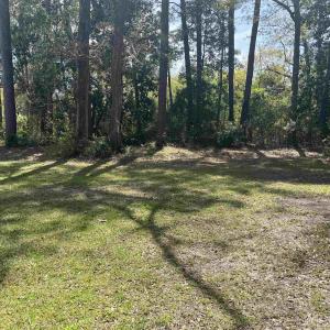 Photo #3 of 221 Robert Conway Ct., Georgetown, SC 0.3 acres