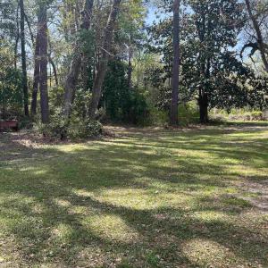Photo #6 of 221 Robert Conway Ct., Georgetown, SC 0.3 acres