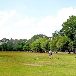 Photo #9 of 221 Robert Conway Ct., Georgetown, SC 0.3 acres