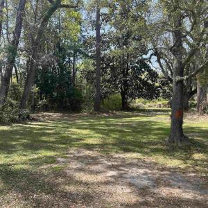 Photo #1 of 221 Robert Conway Ct., Georgetown, SC 0.3 acres