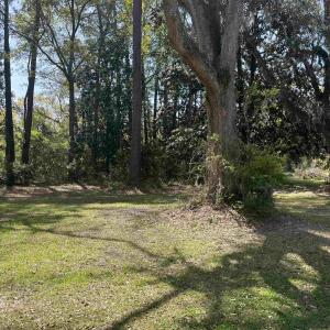 Photo #2 of 221 Robert Conway Ct., Georgetown, SC 0.3 acres