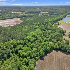 Photo #4 of TBD Daisy Rd., Loris, SC 7.6 acres