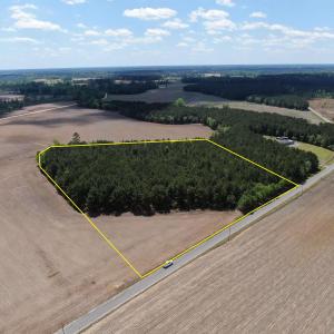 Photo #10 of TBD McClellan Rd., Hamer, SC 7.8 acres