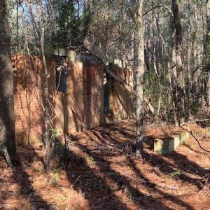 Photo #11 of SOLD property in 201 Kirven St., Pinewood, SC 0.9 acres