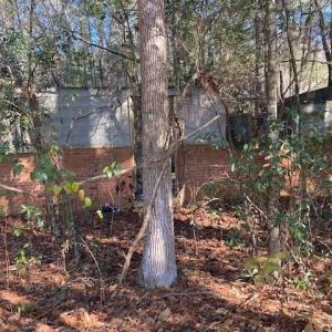 Photo #7 of SOLD property in 201 Kirven St., Pinewood, SC 0.9 acres