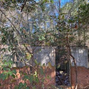 Photo #8 of SOLD property in 201 Kirven St., Pinewood, SC 0.9 acres