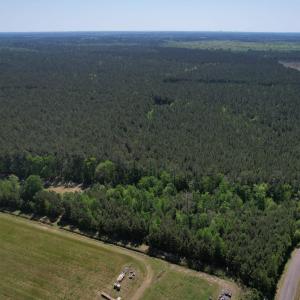 Photo #7 of TBD Cain Wilson Rd., Conway, SC 47.8 acres