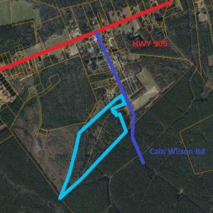 Photo #2 of TBD Cain Wilson Rd., Conway, SC 47.8 acres