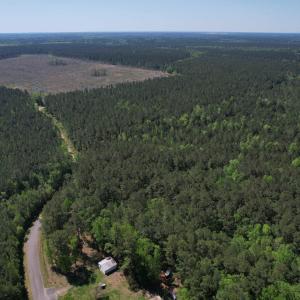 Photo #11 of TBD Cain Wilson Rd., Conway, SC 47.8 acres