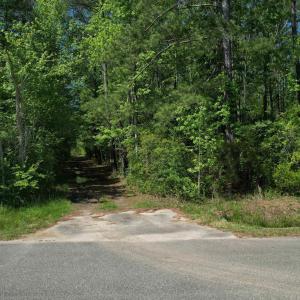 Photo #3 of TBD Cain Wilson Rd., Conway, SC 47.8 acres