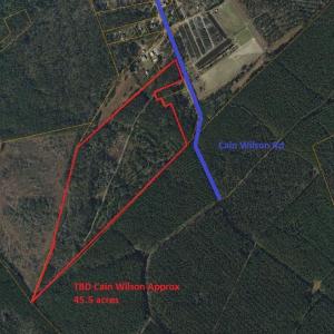 Photo #1 of TBD Cain Wilson Rd., Conway, SC 47.8 acres