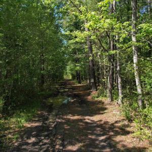 Photo #4 of TBD Cain Wilson Rd., Conway, SC 47.8 acres