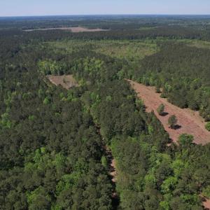 Photo #6 of TBD Cain Wilson Rd., Conway, SC 47.8 acres