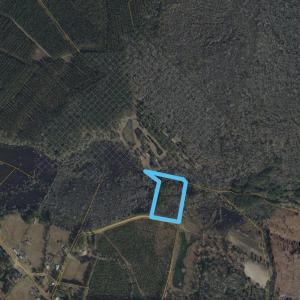 Photo #13 of TBD McNair Ln., Conway, SC 78.7 acres