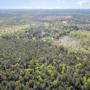 Photo #5 of TBD McNair Ln., Conway, SC 78.7 acres