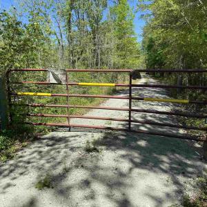 Photo #11 of TBD McNair Ln., Conway, SC 78.7 acres