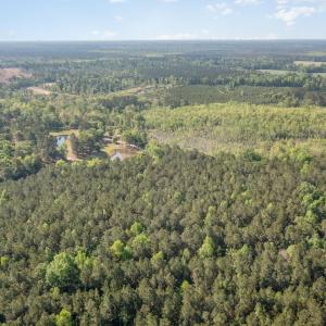 Photo #4 of TBD McNair Ln., Conway, SC 78.7 acres