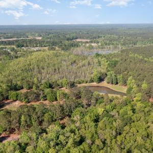 Photo #2 of TBD McNair Ln., Conway, SC 78.7 acres