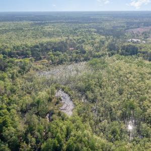 Photo #6 of TBD McNair Ln., Conway, SC 78.7 acres