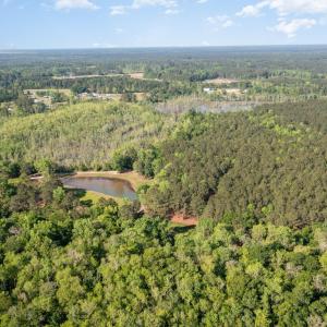 Photo #3 of TBD McNair Ln., Conway, SC 78.7 acres