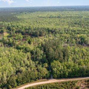 Photo #10 of TBD McNair Ln., Conway, SC 78.7 acres