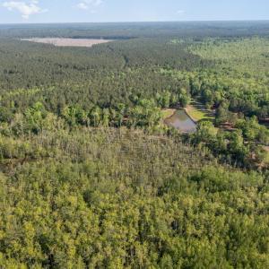 Photo #7 of TBD McNair Ln., Conway, SC 78.7 acres