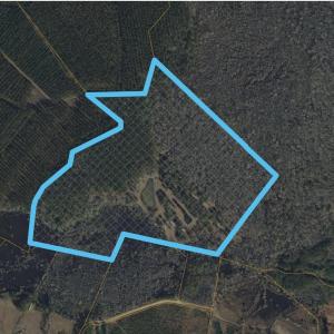 Photo #12 of TBD McNair Ln., Conway, SC 78.7 acres