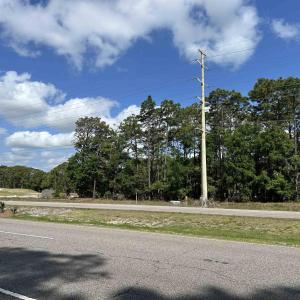 Photo #5 of 8000 Ocean Highway, Pawleys Island, SC 2.5 acres