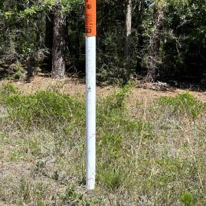 View of exterior details