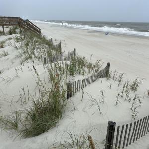 Photo #22 of 8000 Ocean Highway, Pawleys Island, SC 2.5 acres