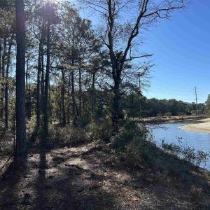 View of water feature