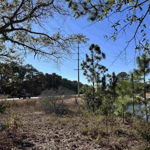 View of local wilderness featuring a water view