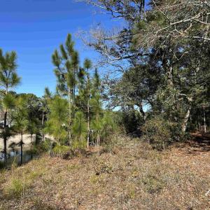 View of local wilderness featuring a water view