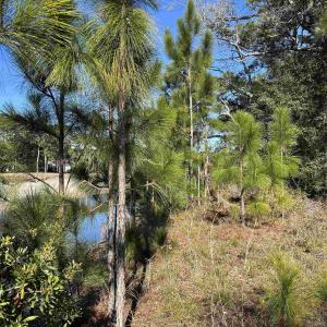 Exterior space featuring a water view