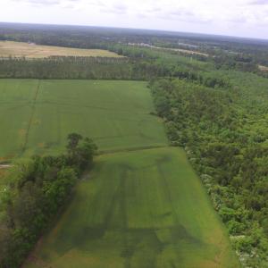 Photo #6 of TBD Fowler Rd., Conway, SC 47.5 acres