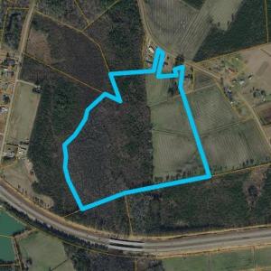 Photo #8 of TBD Fowler Rd., Conway, SC 47.5 acres