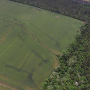 Photo #5 of TBD Fowler Rd., Conway, SC 47.5 acres