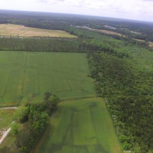 Photo #4 of TBD Fowler Rd., Conway, SC 47.5 acres