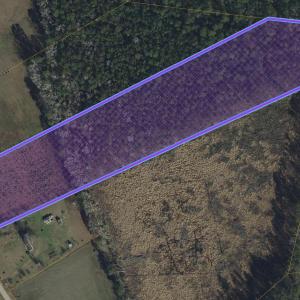 Photo #1 of TBD Dukes Rd., Conway, SC 7.7 acres